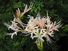 2016 此岸にて ４