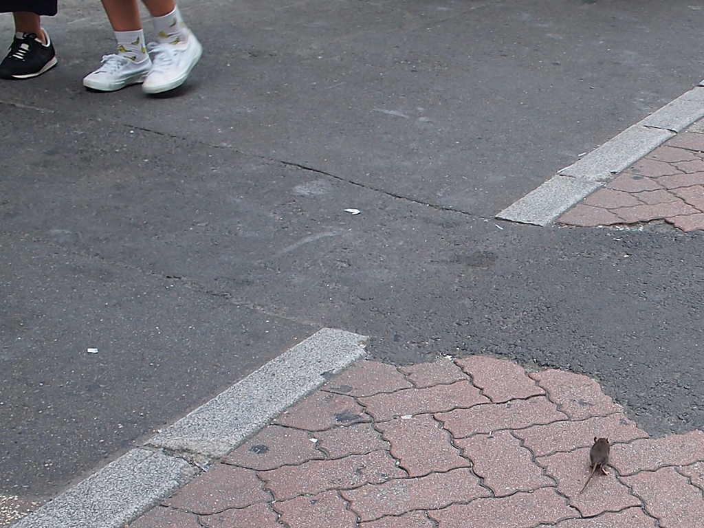 センター街のchu～