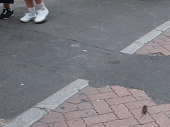 センター街のchu～