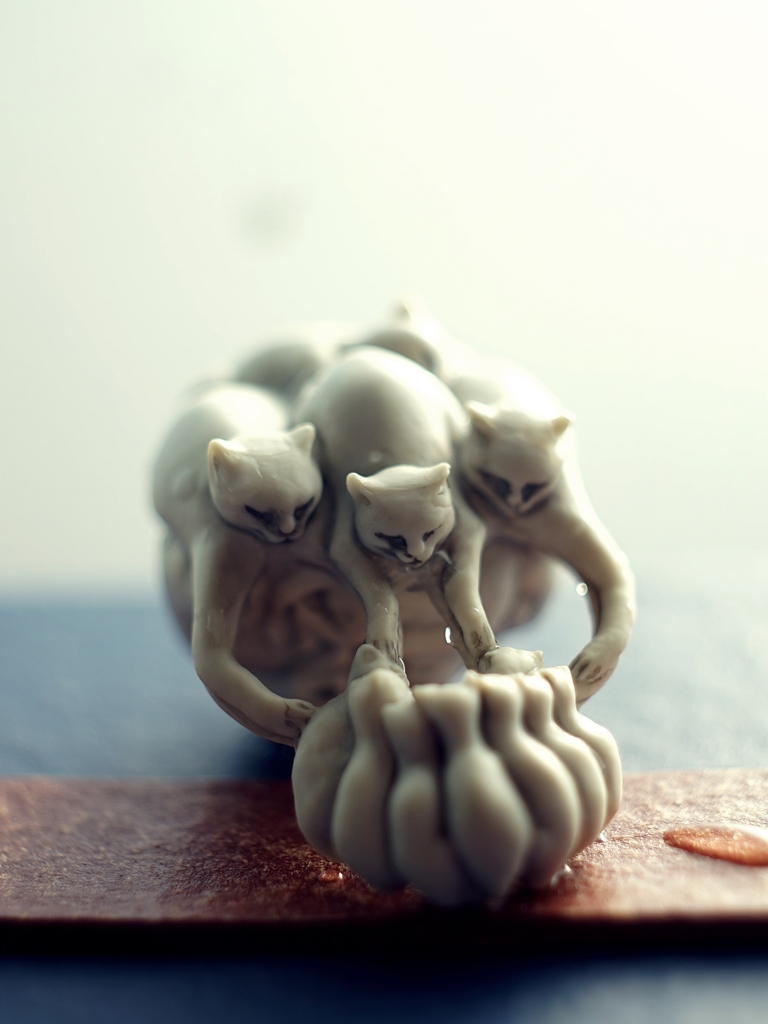 国芳と猫ちゃんたち②