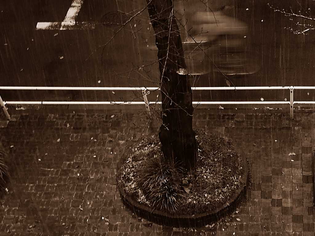 たった今・・・