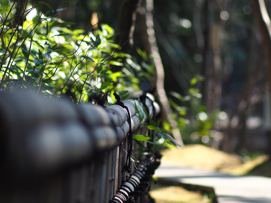 深沙大王堂側道２