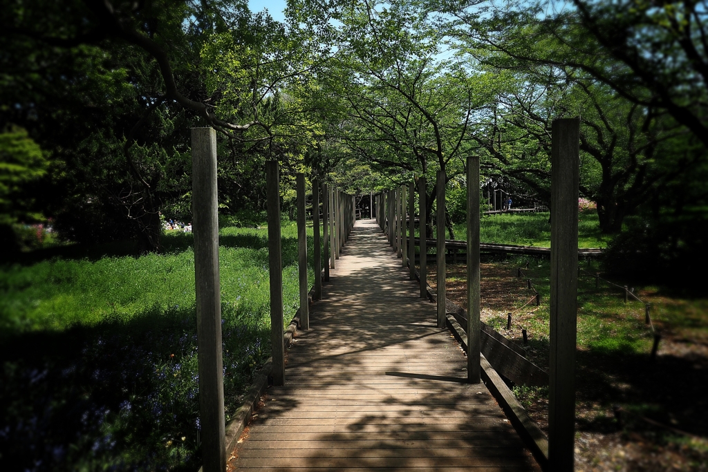 走ってはいけません