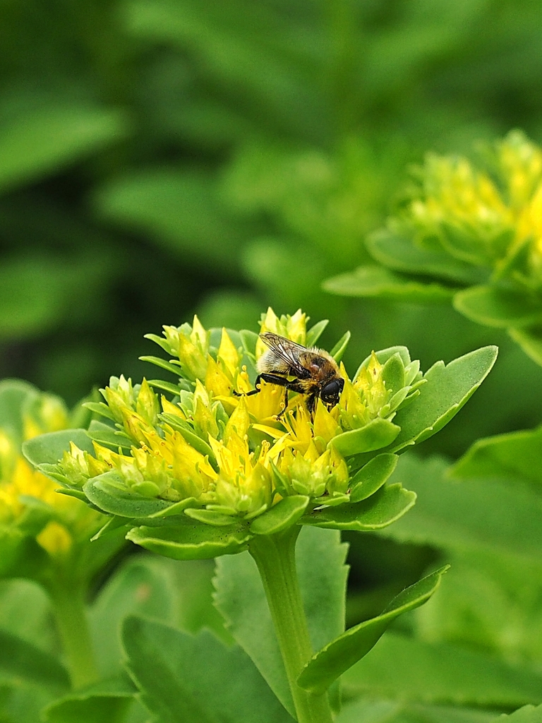 貪ってるの撮ってんじゃね～(#`Д´)ﾉ