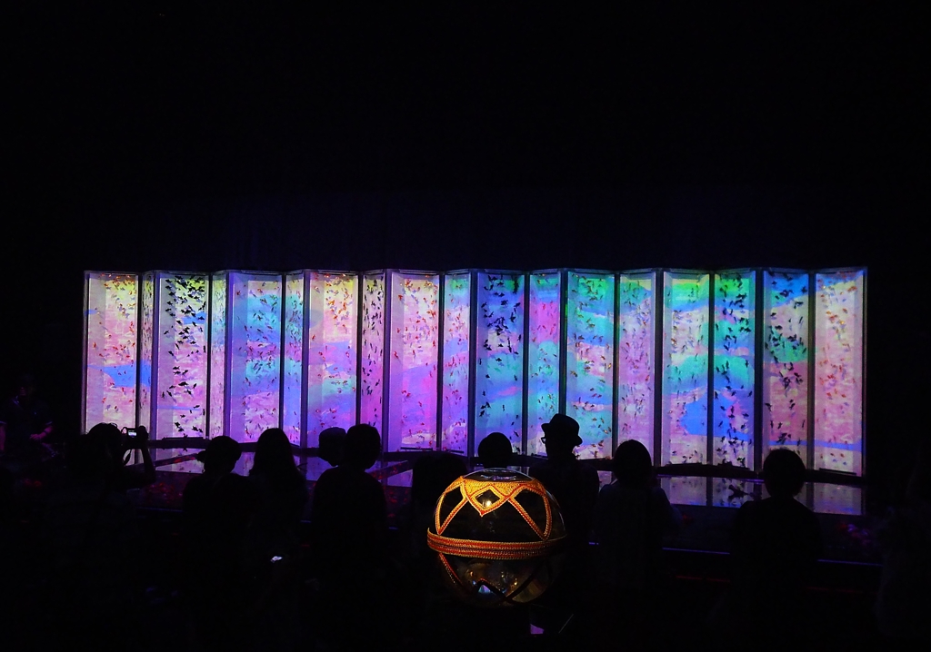 真夏の夜の夢２