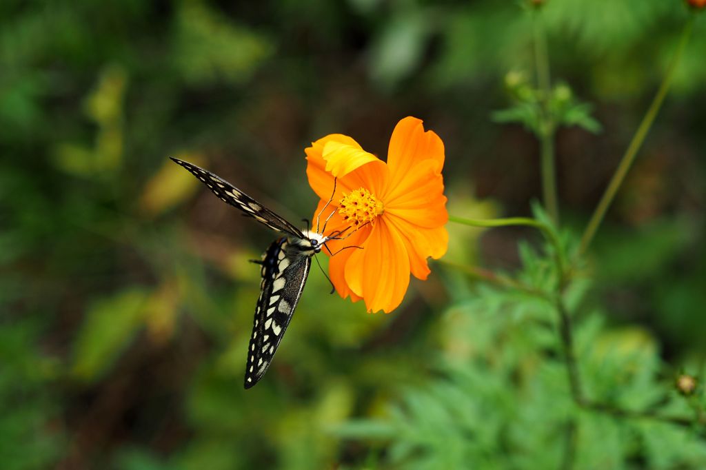 ちょ ちょ ちょっと～～(｡・´_｀・｡)