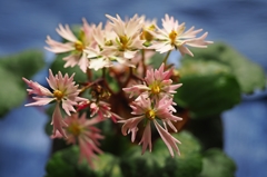 三脚必須の撮影