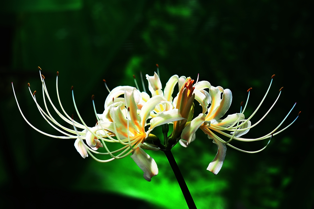 もう少し性格が良ければ　と思う