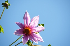 Emperor's loneliness