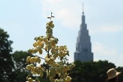 キミガヨランと迷惑メール・タワー