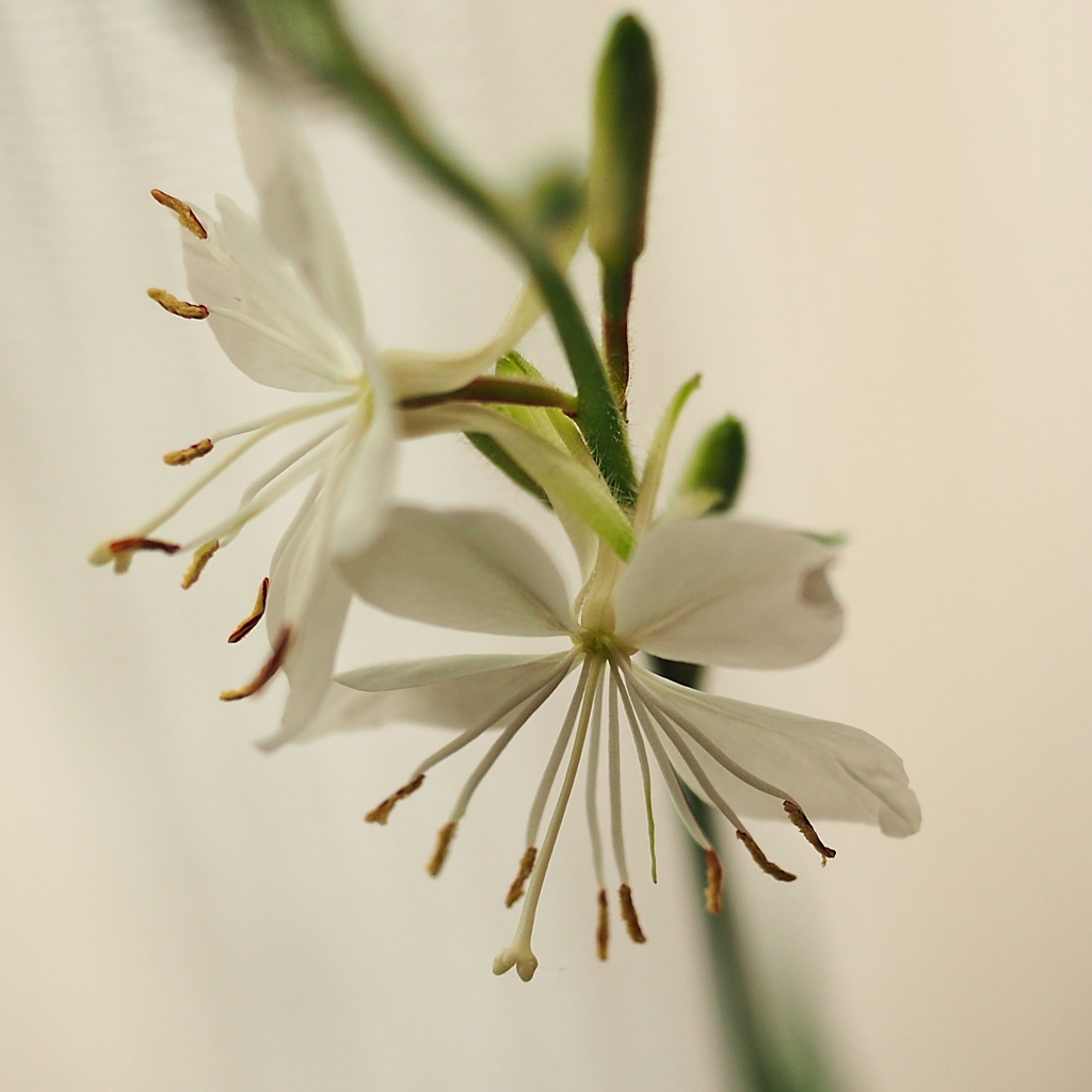 別れの気配をポケットに隠していたから