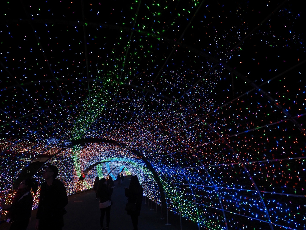 全国ランキング第4位のイルミネーション