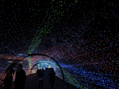 全国ランキング第4位のイルミネーション