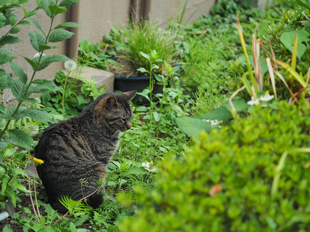 孤独を楽しむ