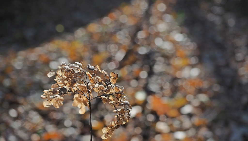 シャワーを浴びて