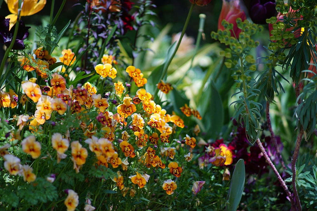 せっかく ここまでフローラルになったのに…