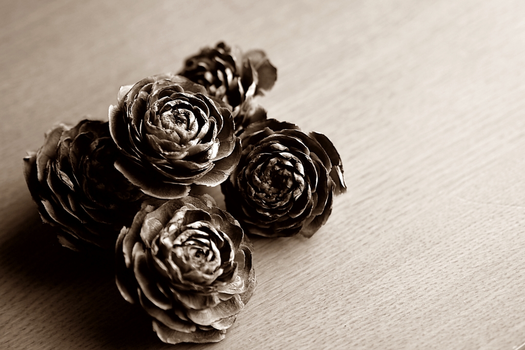 ハロウィンは愛蘭のお盆