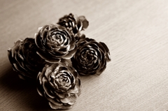 ハロウィンは愛蘭のお盆