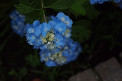 伝えたいこと