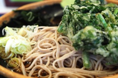明日葉に向かって打て
