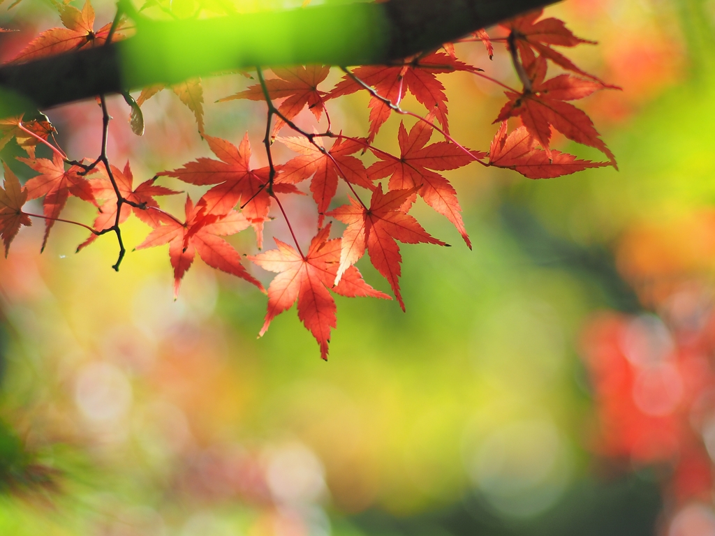 4年前の次点