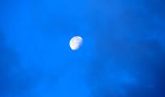 同じ月をみている