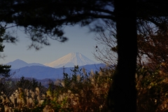 立川より富士を望む２