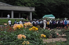 違法ではないが一部不適切な写真