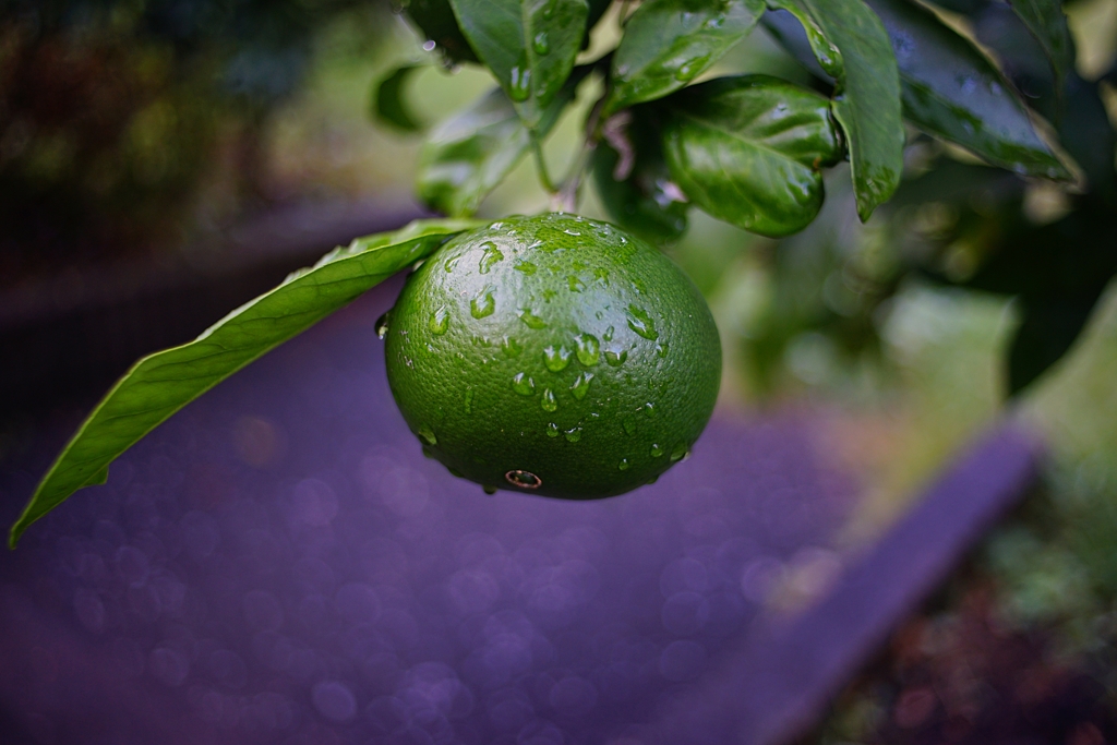 自分 若輩なんで