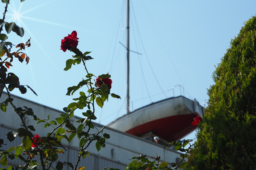 太平洋ひとりぼっち