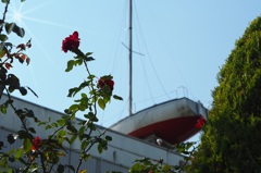 太平洋ひとりぼっち