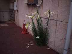 【ﾟДﾟ】ﾊｧ?!