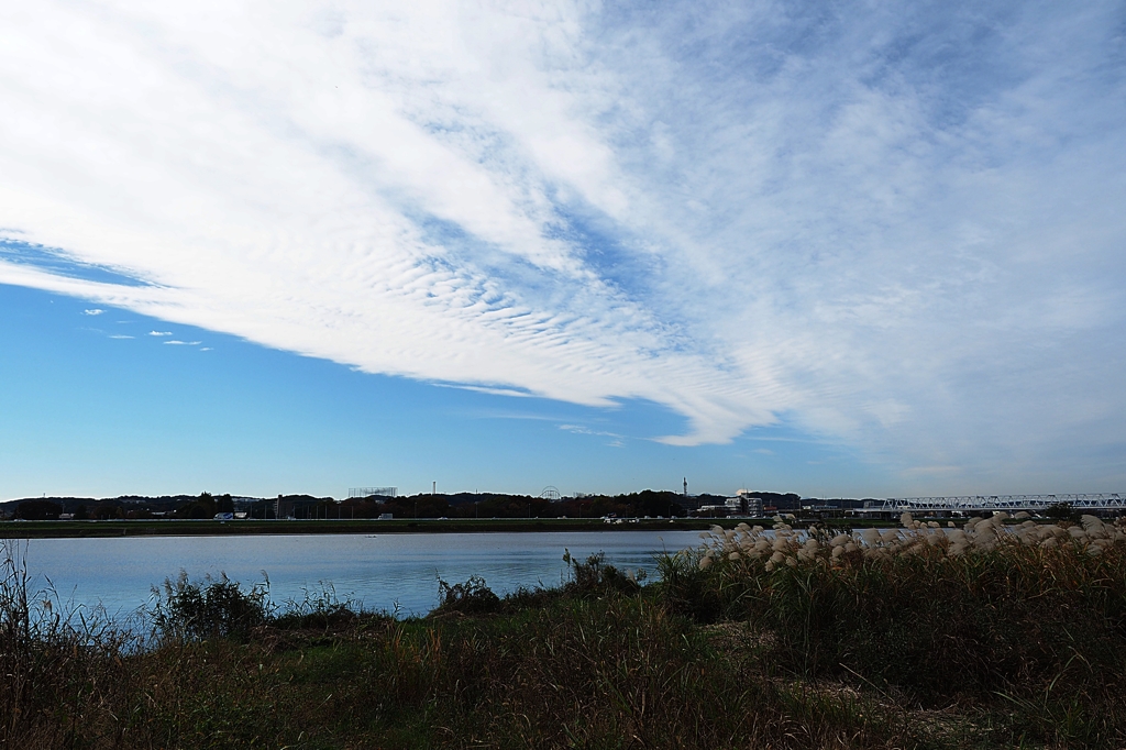 岸辺のアルバム２