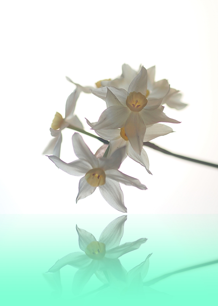 ねぇ～～kiss  して