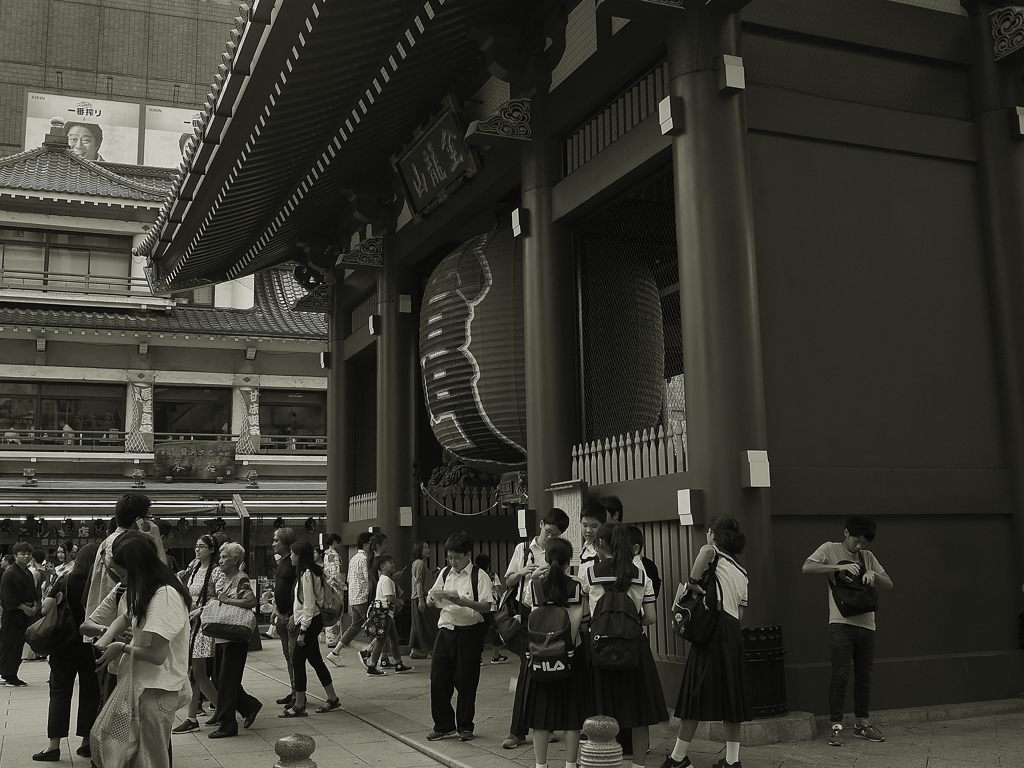 参拝者 年間3000万人