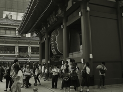 参拝者 年間3000万人