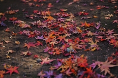 英霊は土に還る