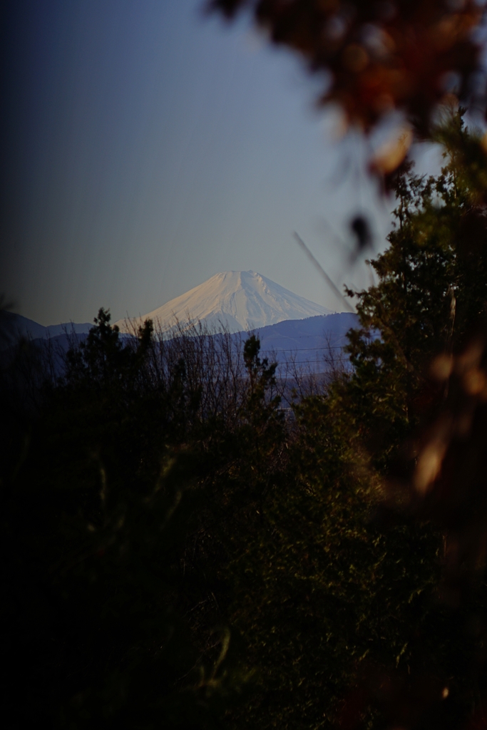 立川より富士を望む