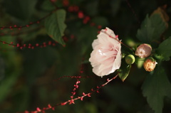 貴方に支えられて