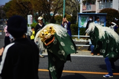 こまえ桜まつり