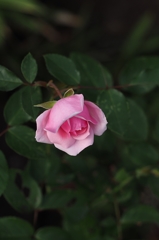 そんな貴女も28