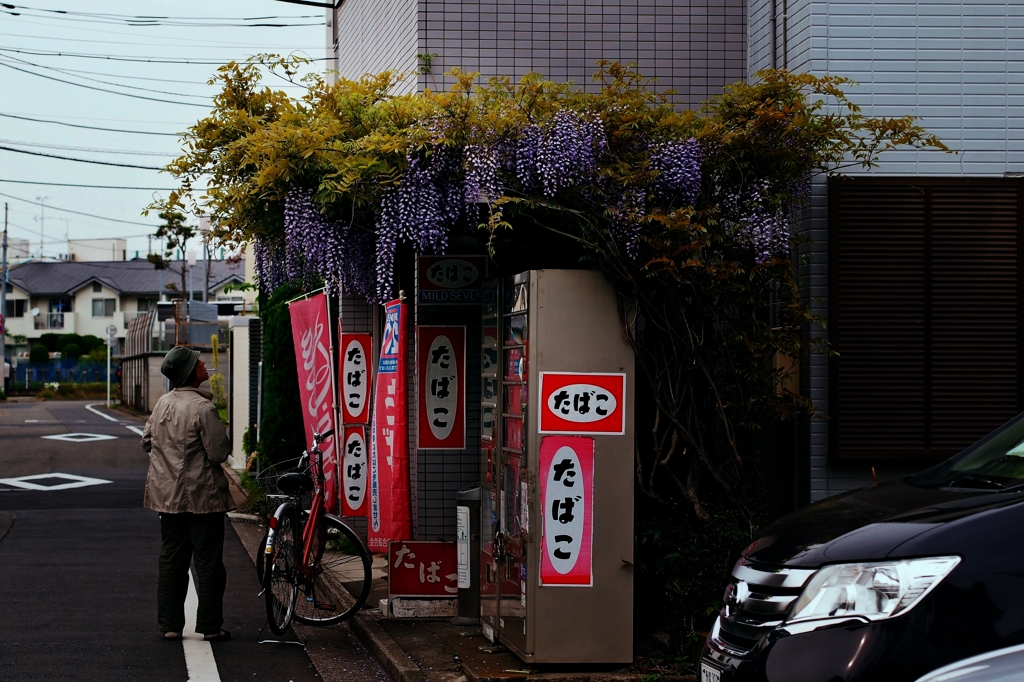藤花傘下煙草店