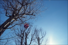 箱根ガラスの森美術館⑪