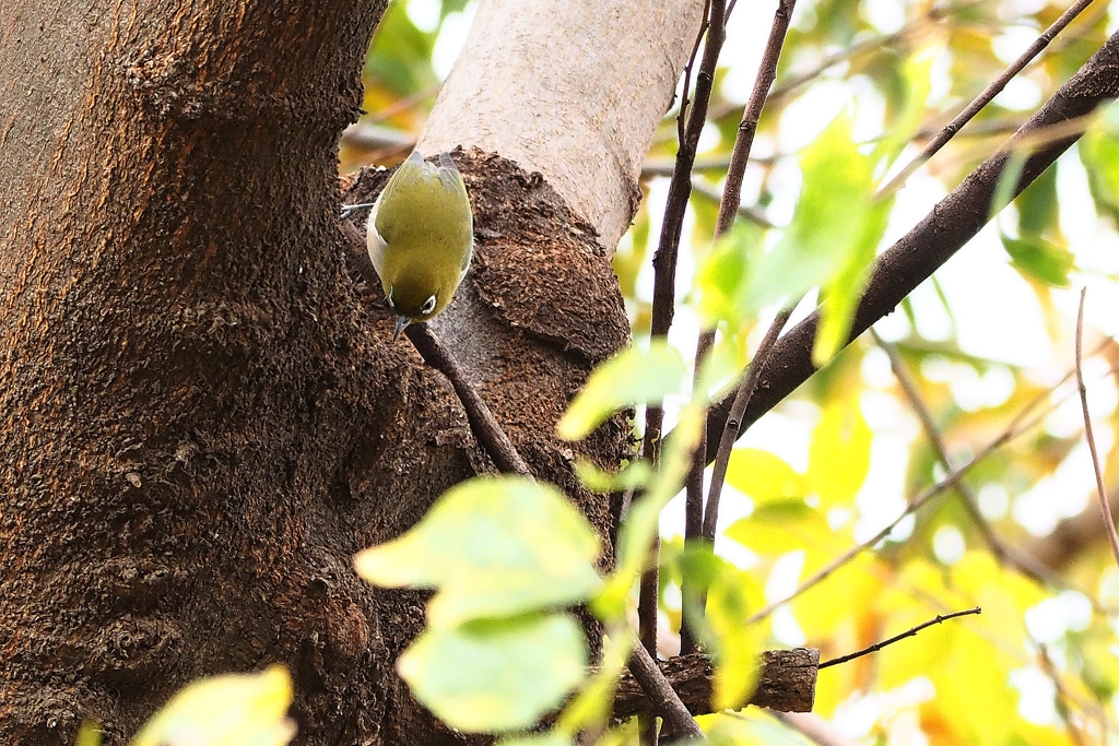 付いていけない