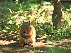 アンタにゃ～渡さない