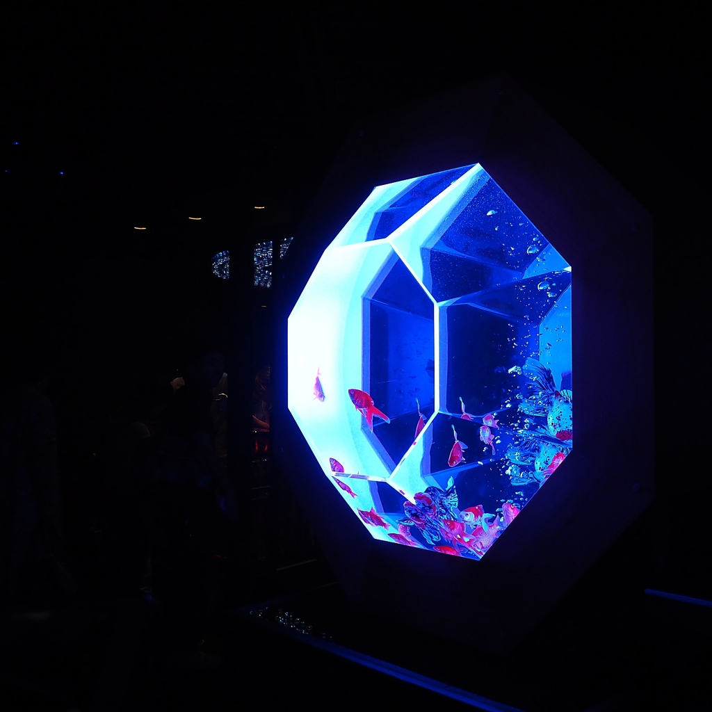 エヴァ 最後の使徒