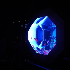 エヴァ 最後の使徒