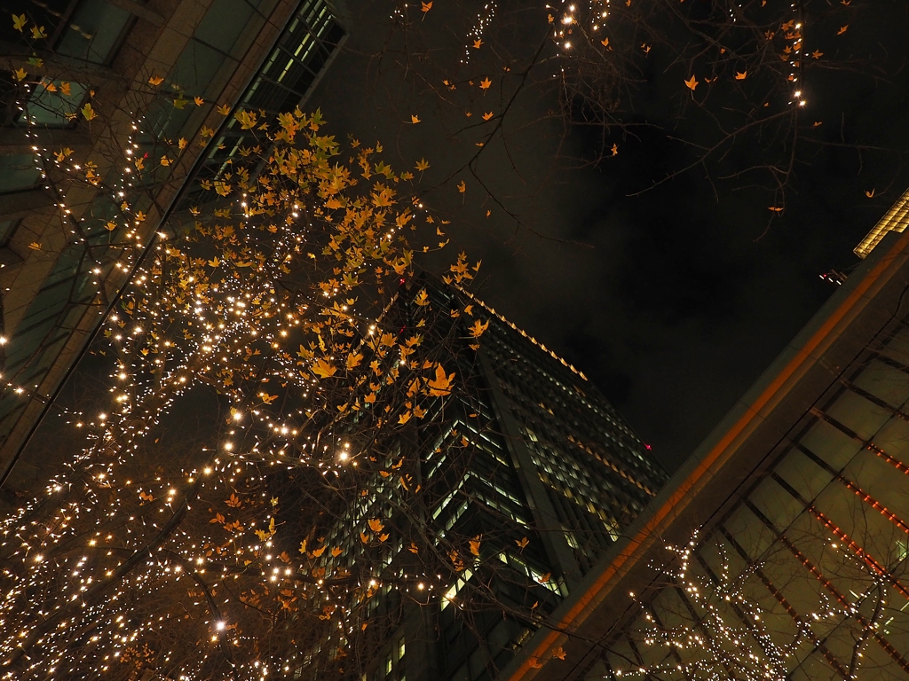 もみじ＆イルミ＆ビルディング