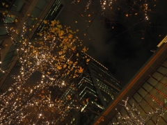 もみじ＆イルミ＆ビルディング