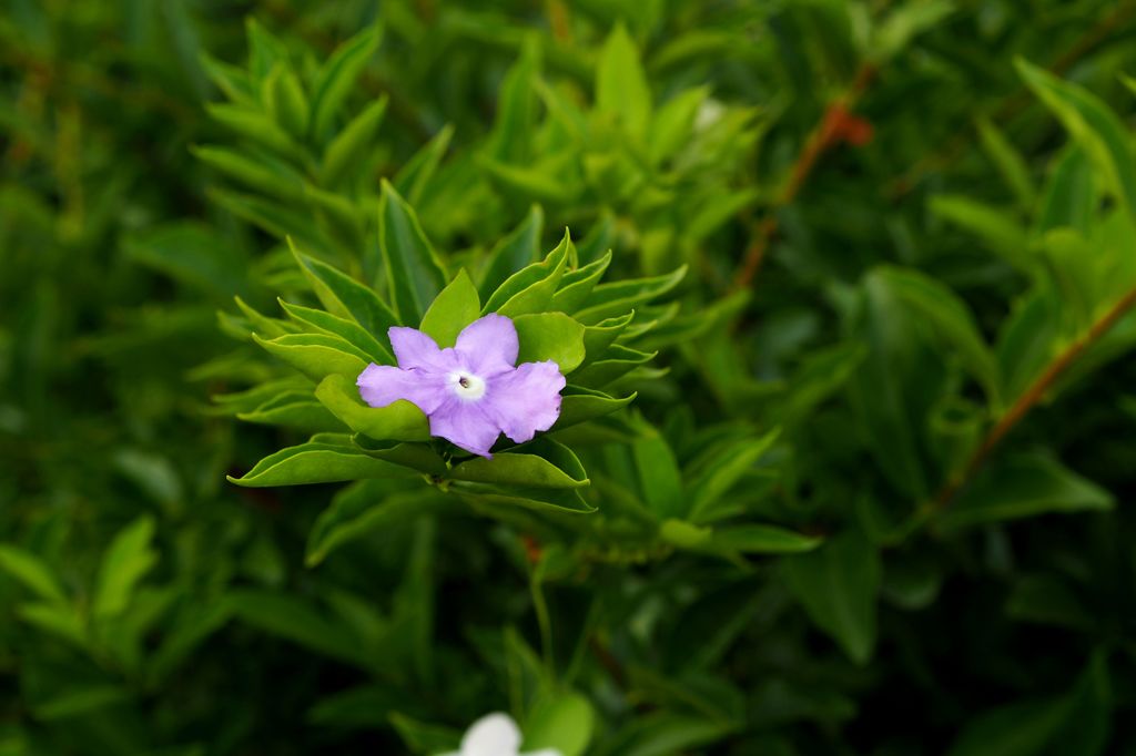 あなたに あ～げる♪